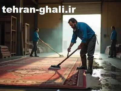 فرش شویی ارزان
